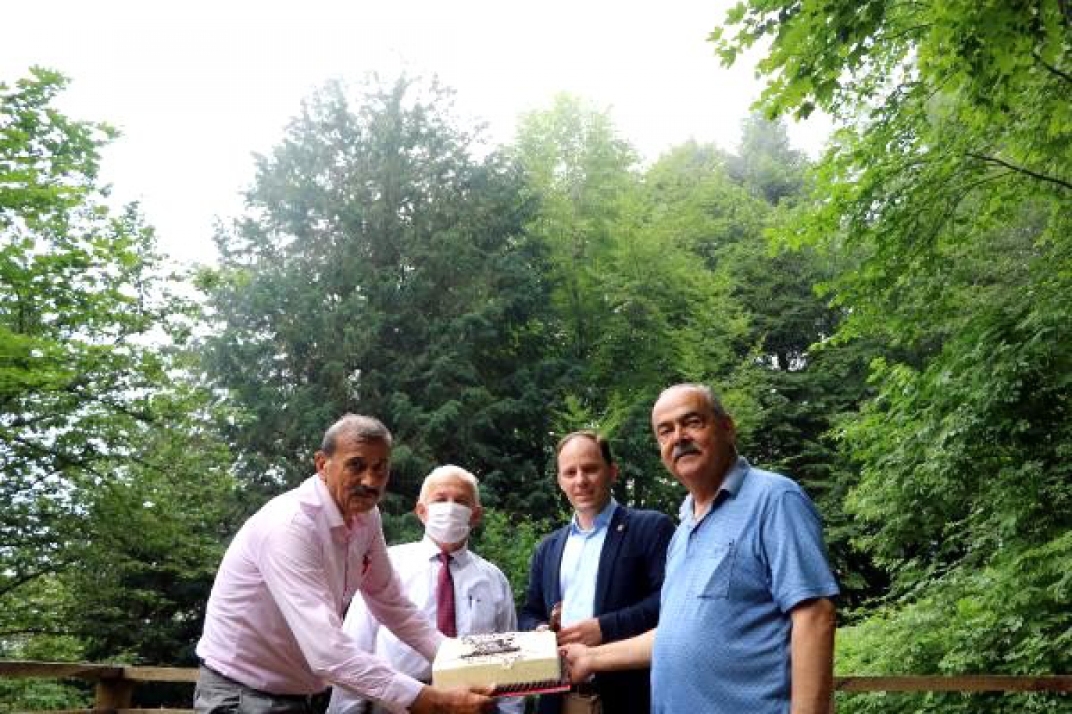 4117'nci yaşına giren dünyanın en yaşlı porsuk ağacına doğum günü pastası kesildi